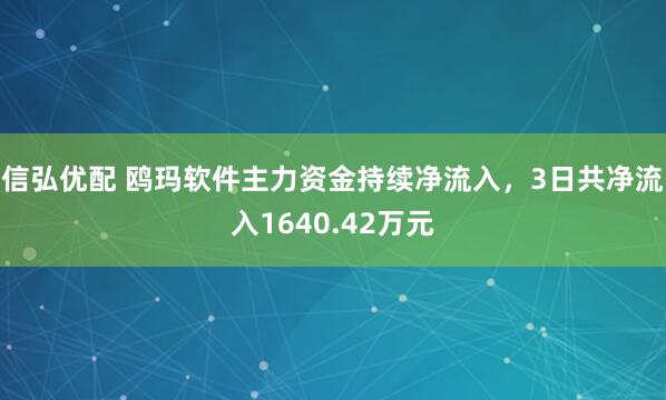 信弘优配 鸥玛软件主力资金持续净流入，3日共净流入1640.42万元